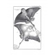 Traité général des pesches et histoire des poissons 